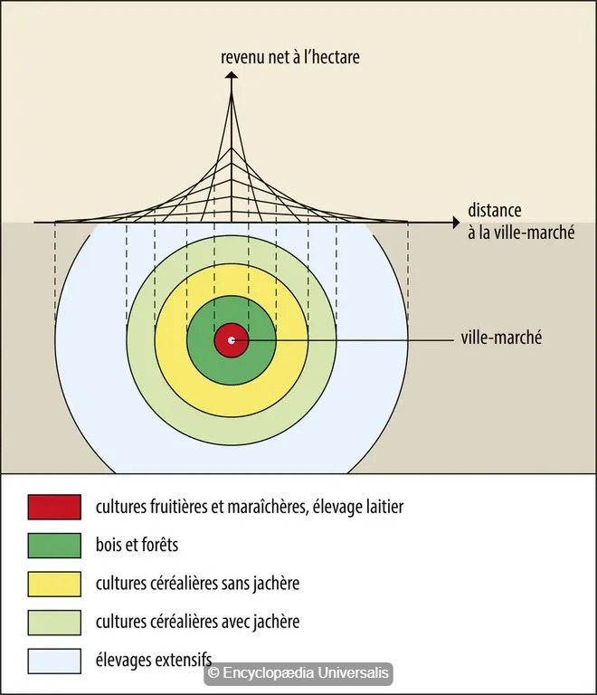 Read more about the article Le modèle d’économie spatiale de Johann Heinrich Von Thunen